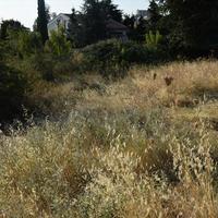 Land plot in Greece
