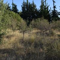 Land plot in Greece