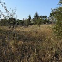 Land plot in Greece