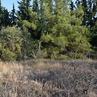 Land plot in Greece