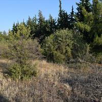 Land plot in Greece