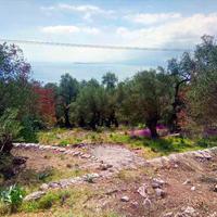 Land plot in Greece