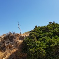 Land plot in Greece