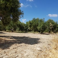 Земельный участок в Греции