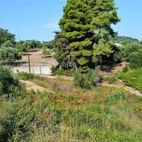 Land plot in Greece