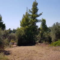 Land plot in Greece