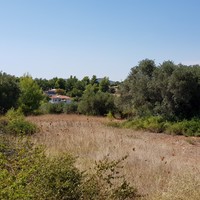 Land plot in Greece