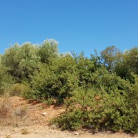 Land plot in Greece