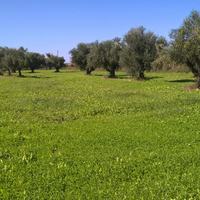 Таунхаус в Греции, 240 кв.м.