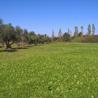 Таунхаус в Греции, 240 кв.м.