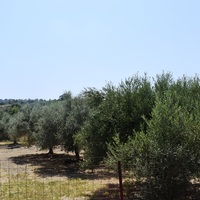 Land plot in Greece