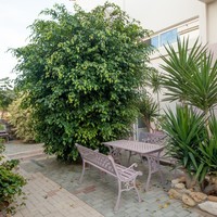 Бизнес-центр в Греции, 850 кв.м.