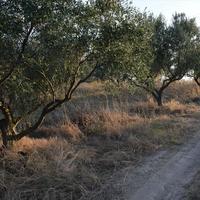 Land plot in Greece