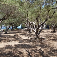 Other in Greece, 185 sq.m.