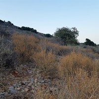 Land plot in Greece