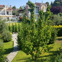 Другое в Греции, 152 кв.м.