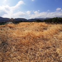 Land plot in Greece