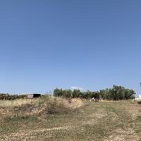 Land plot in Greece, 7000 sq.m.