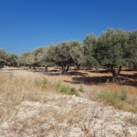 Land plot in Greece