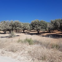 Land plot in Greece