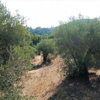 Land plot in Greece