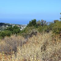 Land plot in Greece