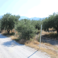 Земельный участок в Греции