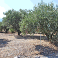 Земельный участок в Греции