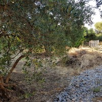 Земельный участок в Греции