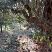 Земельный участок в Греции