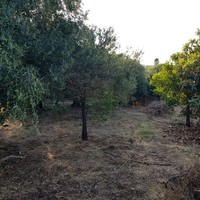 Земельный участок в Греции