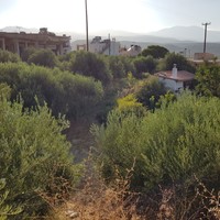 Land plot in Greece