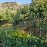 Land plot in Greece
