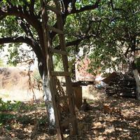 Другое в Греции, 600 кв.м.