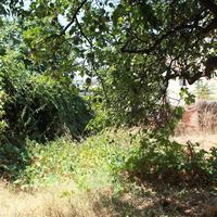 Другое в Греции, 600 кв.м.