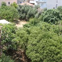 Другое в Греции, 600 кв.м.