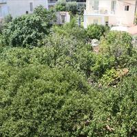 Другое в Греции, 600 кв.м.