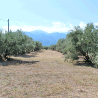 Земельный участок в Греции