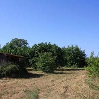 Земельный участок в Греции