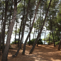 Other in Greece, 175 sq.m.