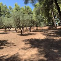 Other in Greece, 175 sq.m.