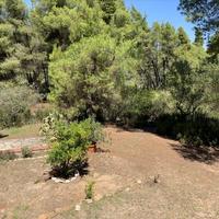 Other in Greece, 180 sq.m.