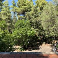 Other in Greece, 180 sq.m.