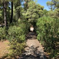 Other in Greece, 180 sq.m.