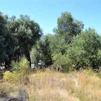 Land plot in Greece