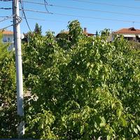 Townhouse in Greece, 100 sq.m.