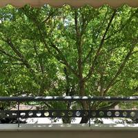 Другое в Греции, 130 кв.м.