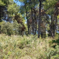 Земельный участок в Греции