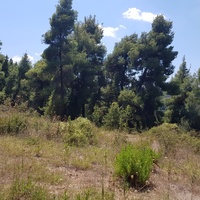 Земельный участок в Греции