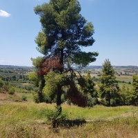 Земельный участок в Греции